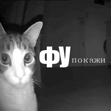 a black and white photo of a cat in front of a sign that says " fu "