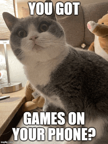 Cat Stare Games On Your Phone GIF - Cat Stare Games On Your Phone Jelly Bean GIFs