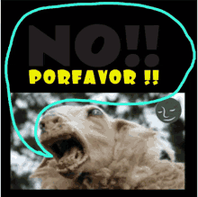 No Por Favor GIF - No Por Favor Borregos GIFs