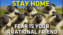 Stay Home GIF - Stay Home Sheep GIFs
