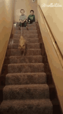 Downstairs Dog GIF - Downstairs Dog Kid GIFs