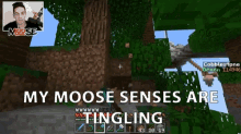 My Moose Senses Are Tingling Got A Feeling GIF - My Moose Senses Are Tingling Got A Feeling Sense GIFs