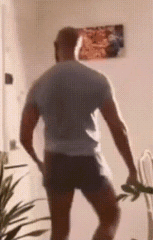 Kumala Dance Kumala GIF - Kumala Dance Kumala Kumalala - Discover & Share  GIFs