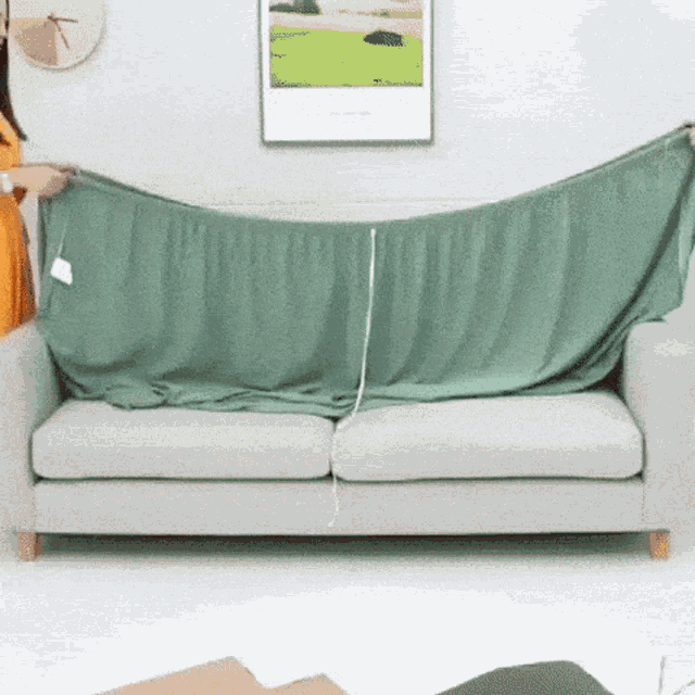 Couchsavers Sofa Covers GIF - Couchsavers Sofa Covers GIFs