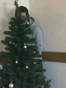 Hide Suspicious GIF - Hide Suspicious Christmas Tree GIFs