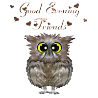 an owl says good evening friends in gold letters