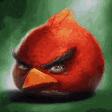 a painting of an angry bird with a very angry look on its face