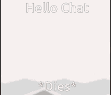 a red background with the words hello chat * dies * written on it