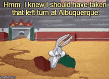 Bugs Bunny Albuquerque GIF - Bugs Bunny Albuquerque Warner Brothers GIFs