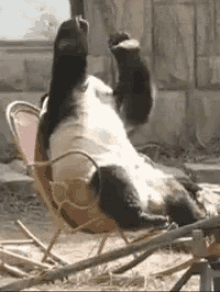 GIF