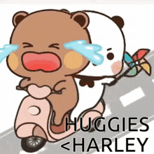 a couple of bears are riding a scooter on a road and hugging each other .