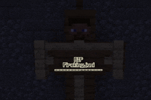 a minecraft character has a sign that says rip fireking juni