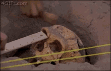 Skeleton Smash GIF - Skeleton Smash Archaeology GIFs