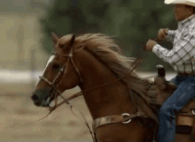 Horseback Riding Cowboy GIF - Horseback Riding Cowboy Caballero GIFs