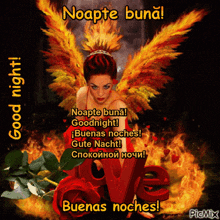 a picture of a woman with flaming wings and the words good night
