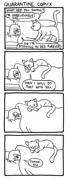 a cartoon of a cat saying " thank you " to another cat