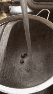 water sieve filter wash drain