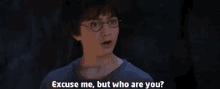 Who Are You GIF - Harry Potter Daniel Radcliffe Excuse Me GIFs