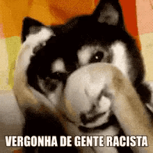 Vergonha De Gente Racista, Cachorro, Escondendo, Cobrinho Rosto GIF - Shame Racist Racism GIFs