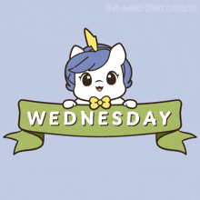 a cartoon of a unicorn holding a banner that reads wednesday