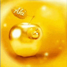 a golden apple with a leaf on it and the name aki on it