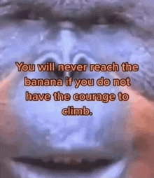 a monkey with a quote on it that says `` you will never reach the banana if you do not have the courage to climb .