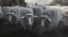 Taking Care Of Business GIF - Hotel Transylvania2 Dracula Sheep GIFs