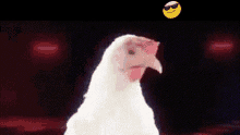 Meme Chicken GIF - Meme Chicken Discord GIFs