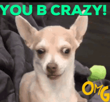 Dog You Crazy GIF - Dog You Crazy Omg GIFs