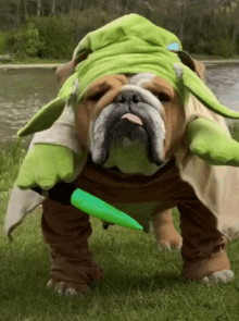 Yoda Pug GIF