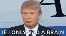 Trump Donald Trump GIF - Trump Donald Trump Election2016 GIFs