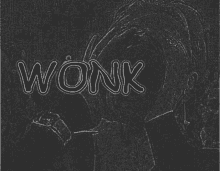 Wonk Wonkk GIF - Wonk Wonkk Supducks GIFs