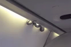 snakes on a plane gif