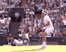 Roger Federer Volley GIF