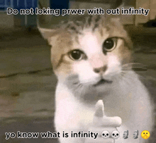 a cat giving a middle finger with the caption do not loking pwer with out infinity yo know what is infinity