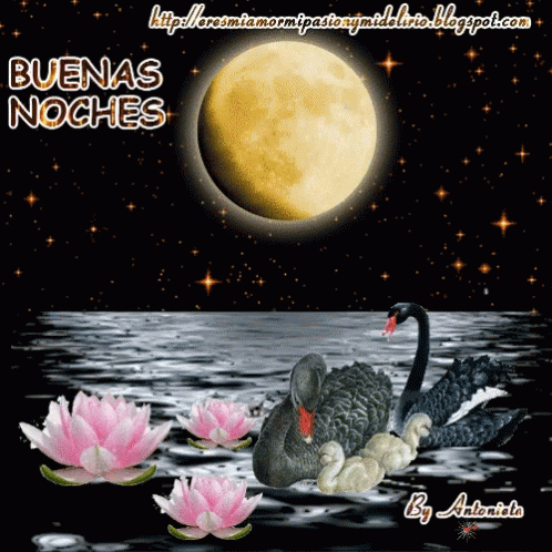Buenas Noches Luna GIF - Buenas Noches Luna - Discover & Share GIFs