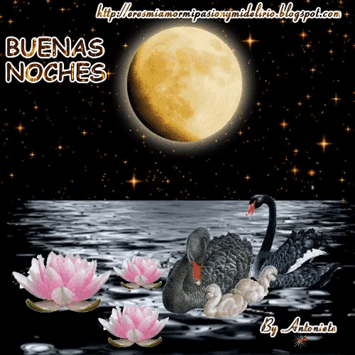 Buenas noches - Luna
