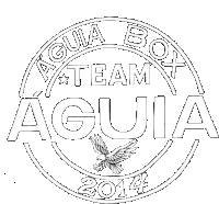Aguia Box Team Aguia2015 Sticker - Aguia Box Team Aguia2015 Eagle Stickers