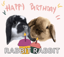 Happy Birthday Hbd GIF - Happy Birthday Hbd Animals GIFs