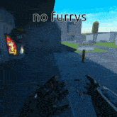 a screenshot of a video game that says no furry