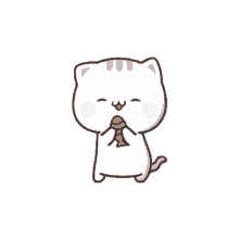 cutie cat chan sway cute