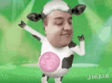 danish milky cow schraeder dance danish milky cow schraeder dance