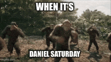 a bunch of chimpanzees are running in a field with the caption when it 's daniel saturday