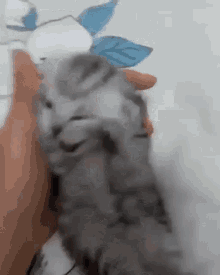 GIF