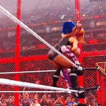 two women are wrestling in a ring with a crowd behind them and a sign that says hell in a cell