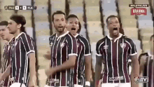 Fluminense Fc Football GIF