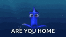 Dory Areyouthere GIF - Dory Areyouthere Youhome GIFs
