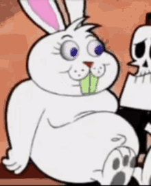 Belly Rub Bunny Rabbit GIF - Belly Rub Bunny Rabbit GIFs
