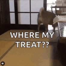a dog standing in front of a door with the words " where my treat " on the bottom
