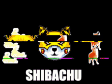 Shibachutoken GIF - Shibachutoken Shibachu GIFs
